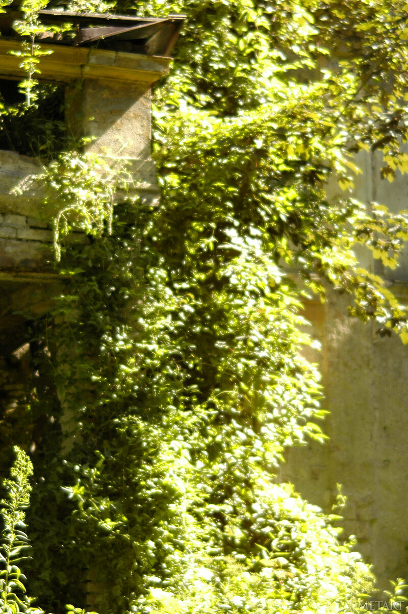 Викуля, 40 лет, 3 размер груди